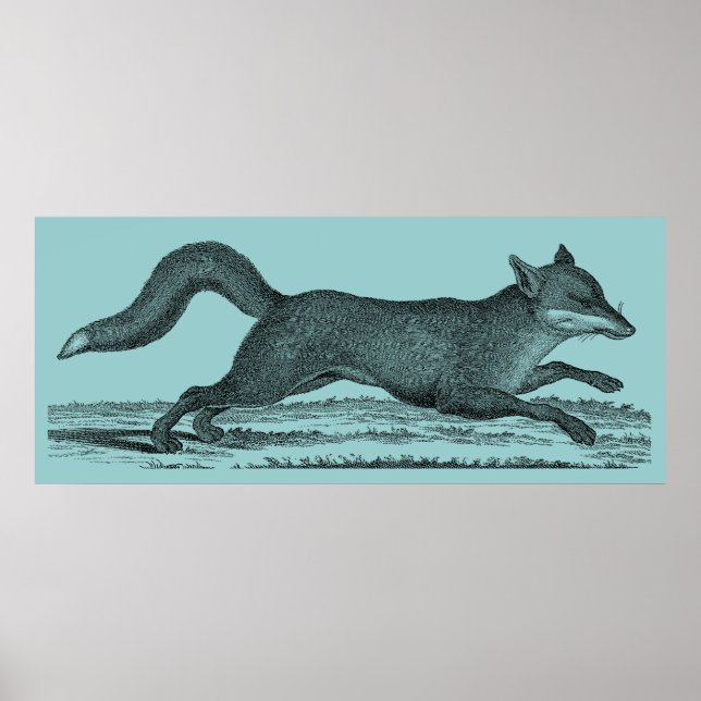 Fox Poster (Framsidan)
