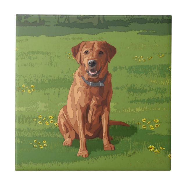 Fox Red Gult Labrador Retriever Hund Kakelplatta (Framsidan)