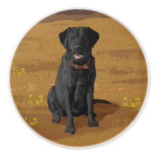 Fox Red Gult Labrador Retriever Hund Knopp