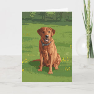 Fox Red Gult Labrador Retriever Hund Kort