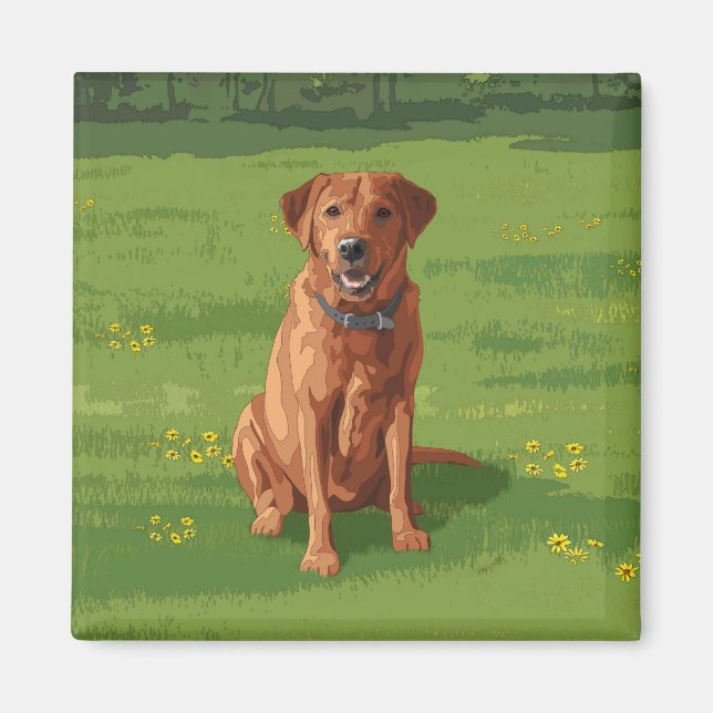 Fox Red Gult Labrador Retriever Hund Magnet (Framsidan)