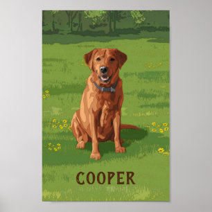 Fox Red Gult Labrador Retriever Hund Poster