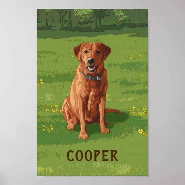 Fox Red Gult Labrador Retriever Hund Poster (Framsidan)