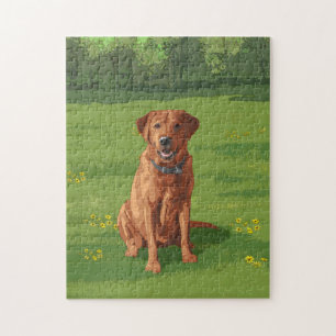 Fox Red Gult Labrador Retriever Hund Pussel