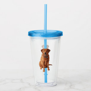 Fox Red Gult Labrador Retriever Hund Take Away Mugg