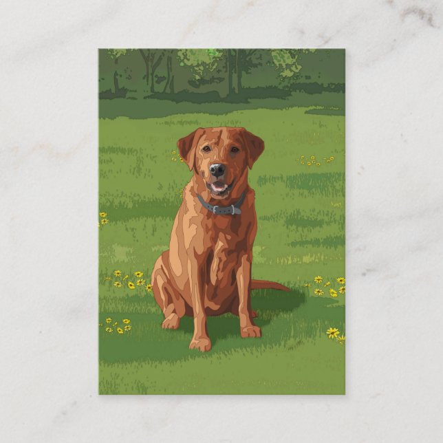 Fox Red Gult Labrador Retriever Hund Visitkort (Framsida)