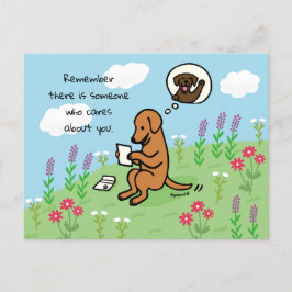 Fox Red Labrador och Brev någon Cares Vykort