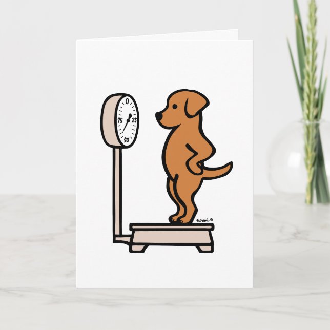 Fox Red Labrador på  Kort (Framsida)