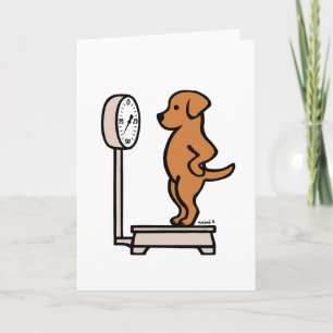 Fox Red Labrador på Kort