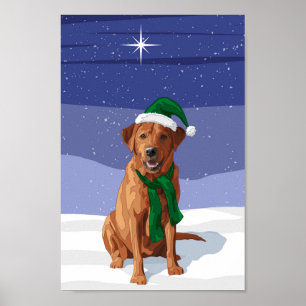 Fox Red Labrador Retriever jul-Hund Poster