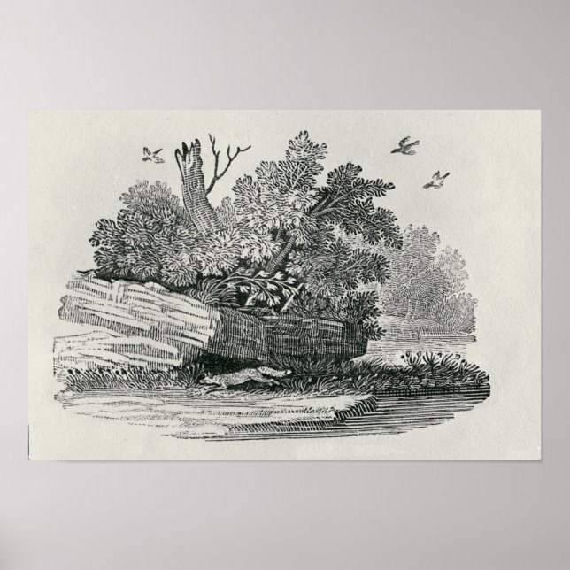 "Fox rymde" Poster (Framsidan)