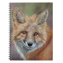 Fox spiral-bunden bärbar dator anteckningsbok