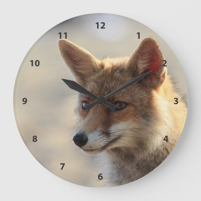 Fox Stor Klocka (Framsida)