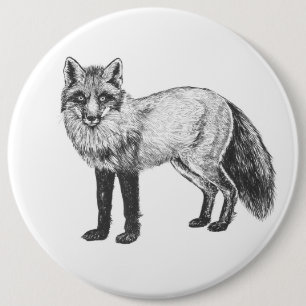 Fox teckning knapp