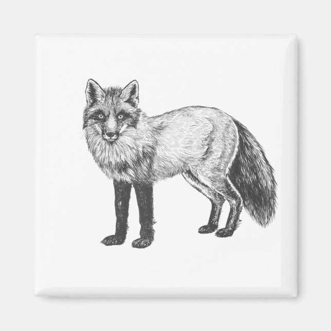 Fox teckning magnet (Framsidan)