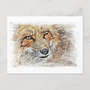 Fox Teckning vykort