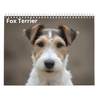 Fox Terrier 2027 Väggkalender Kalender
