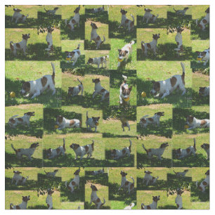 Fox Terrier Foto Collage Tyg