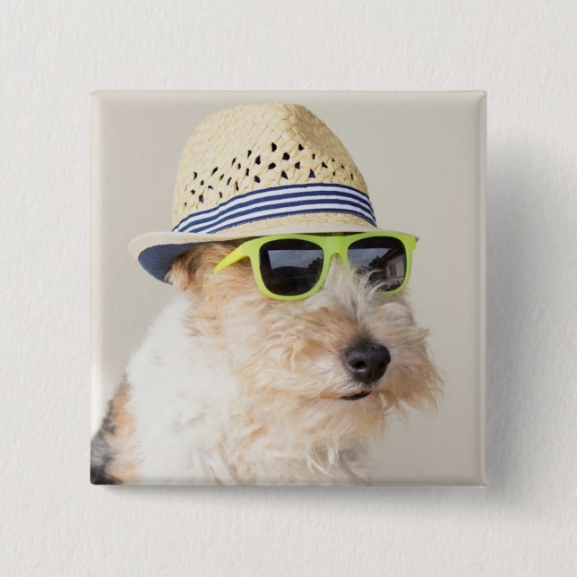 Fox Terrier Knapp (Framsida)