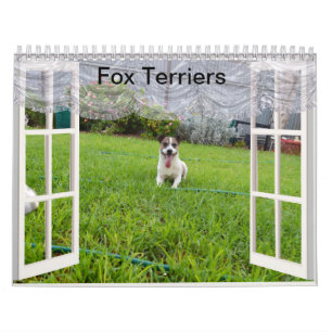 Fox Terrier Kom Play, Kalender