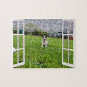 Fox Terrier Kom Play, pussel