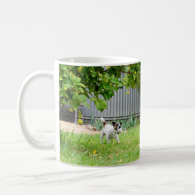 Fox Terrier, lustigt Skräm Ansikte, vit kaffe Mugg (Vänster)