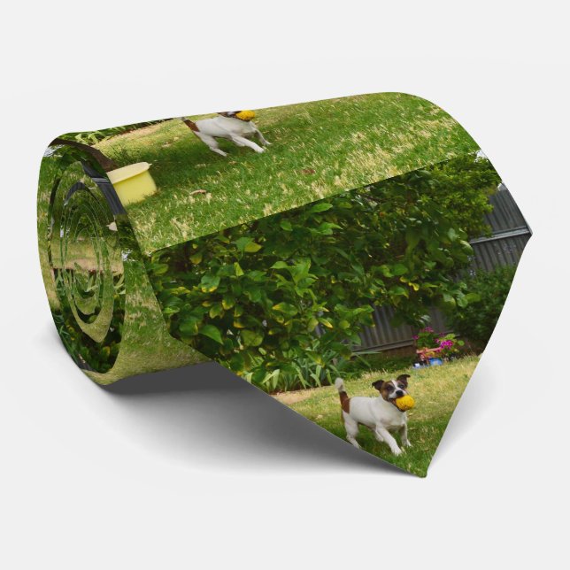 Fox Terrier Lycklig Days Slips (Rullad)