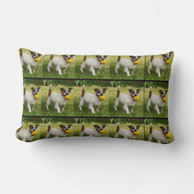 Fox Terrier med Boll Lumbar Cushion. Lumbarkudde (Framsida)