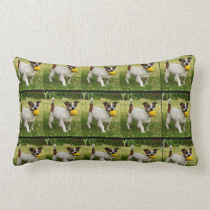 Fox Terrier med Boll Lumbar Cushion. Lumbarkudde