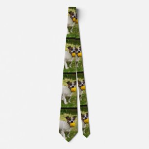 Fox Terrier med Gulten Boll, Manar Silky Tie Slips