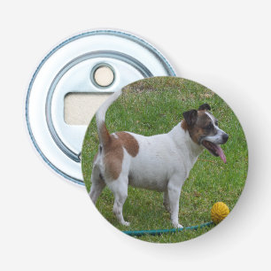 Fox Terrier med hans Gult Boll, öppnare Flaska