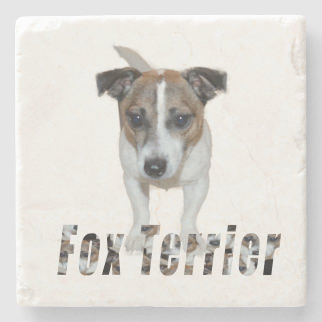 Fox Terrier och Fox Terrier Logotyp. Stenunderlägg (Framsidan)