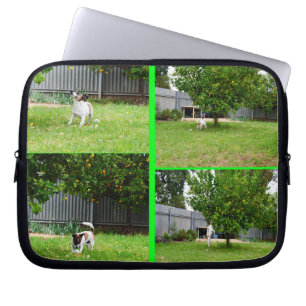 Fox Terrier, Photo Collage 10 tums Laptop sleeve. Sleeve