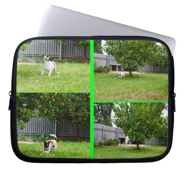 Fox Terrier, Photo Collage 10 tums Laptop sleeve. Sleeve (Framsidan)