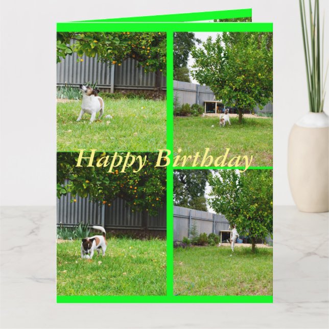 Fox Terrier, Photo Collage, Big Birthday Card Kort (Framsida)