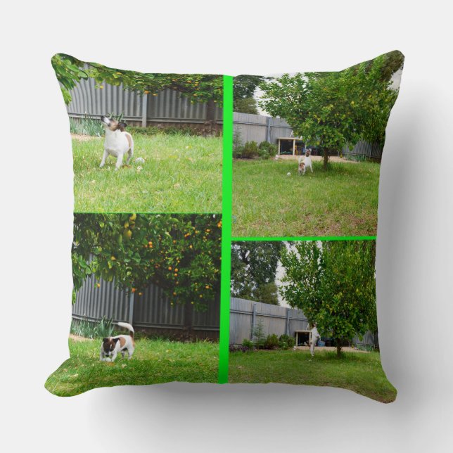 Fox Terrier Photo Collage, Big Throw Cushion. Kudde (Framsida)
