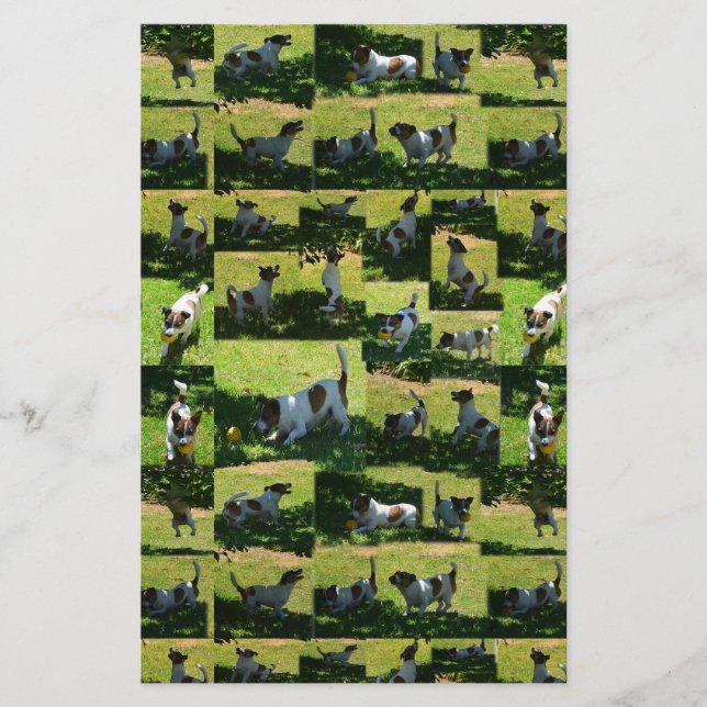 Fox Terrier Photo Collage Brevpapper (Framsida)