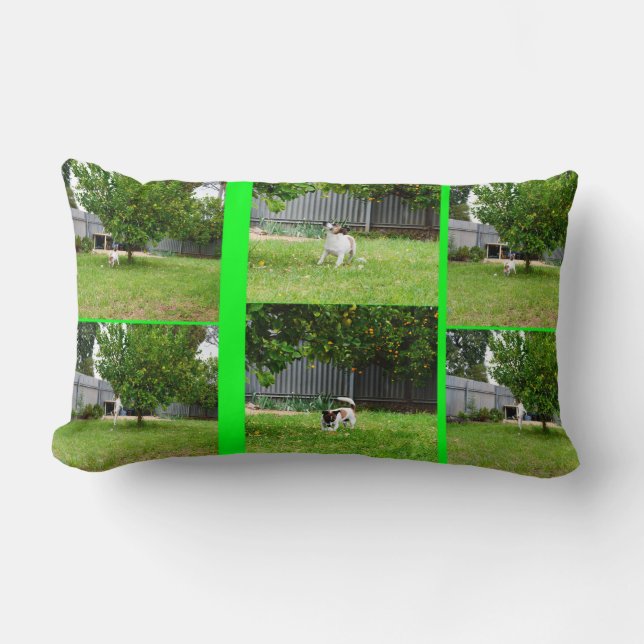 Fox Terrier Photo Collage, Lumbar Cushion. Lumbarkudde (Framsida)