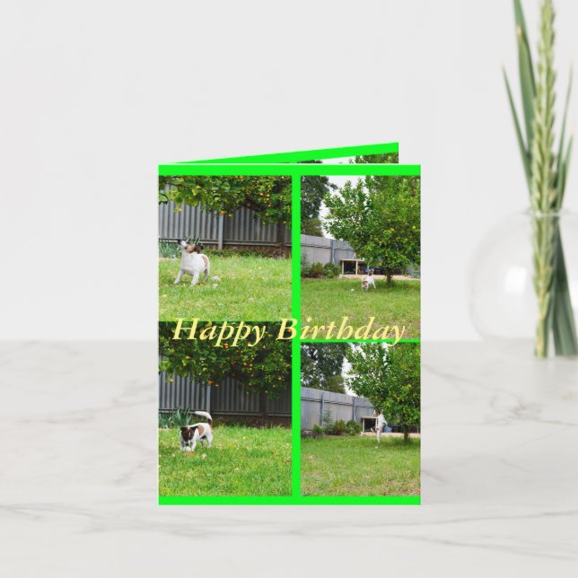 Fox Terrier, Photo Collage, Small Birthday Card Kort (Framsida)