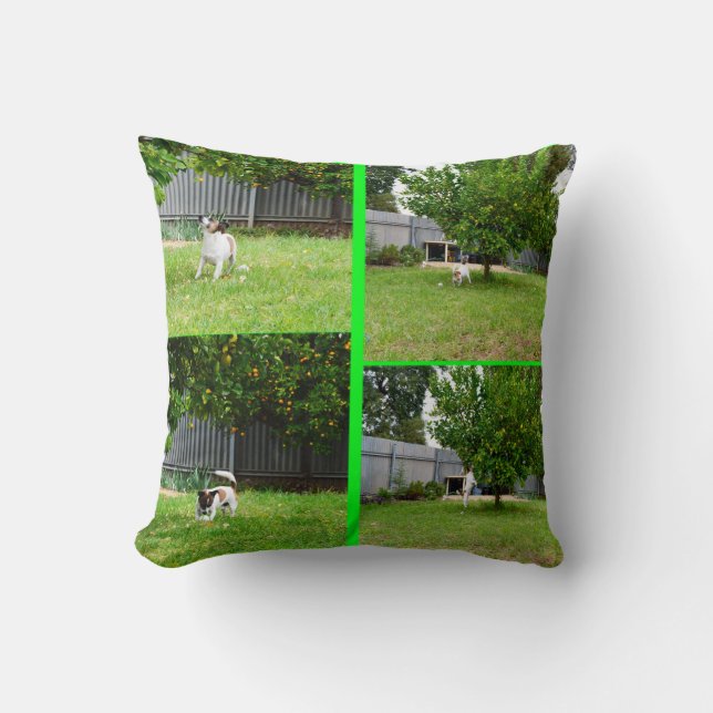 Fox Terrier Photo Collage, Throw Cushion. Kudde (Framsida)