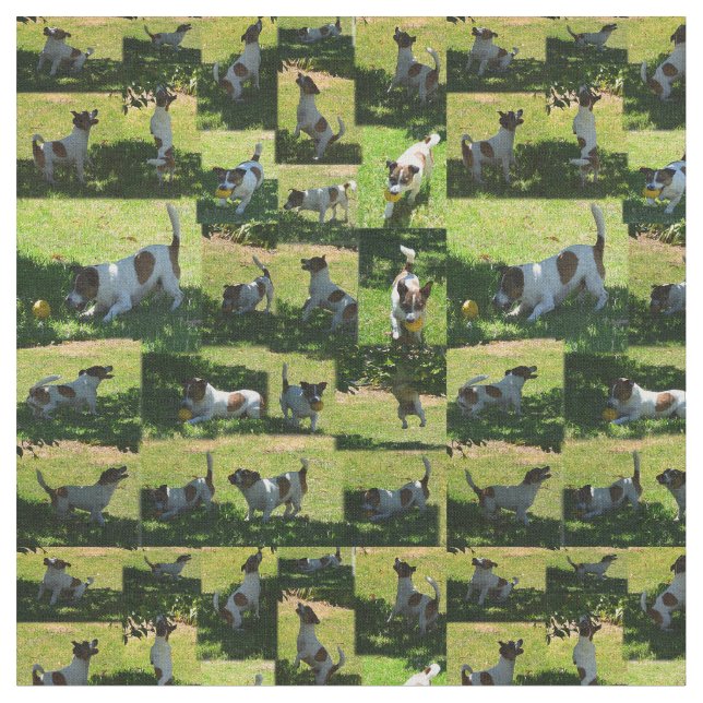 Fox Terrier Photo Collage Tyg (Närbild)