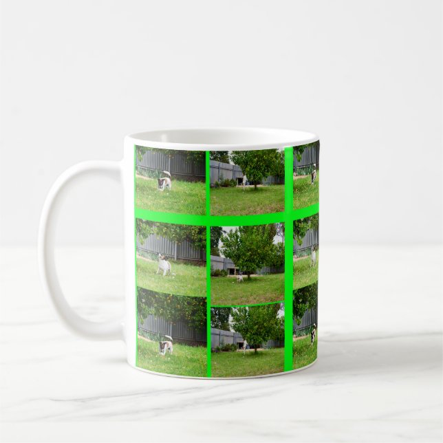 Fox Terrier Photo Collage White Coffee Mugg (Vänster)