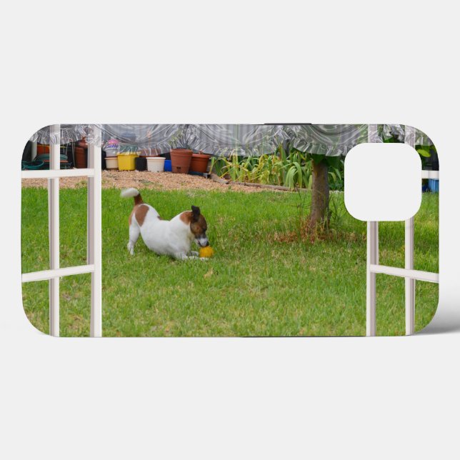 Fox Terrier Play Boll, (Baksida (horisontell))