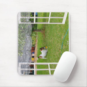 Fox Terrier Play Boll, Mousepad Musmatta