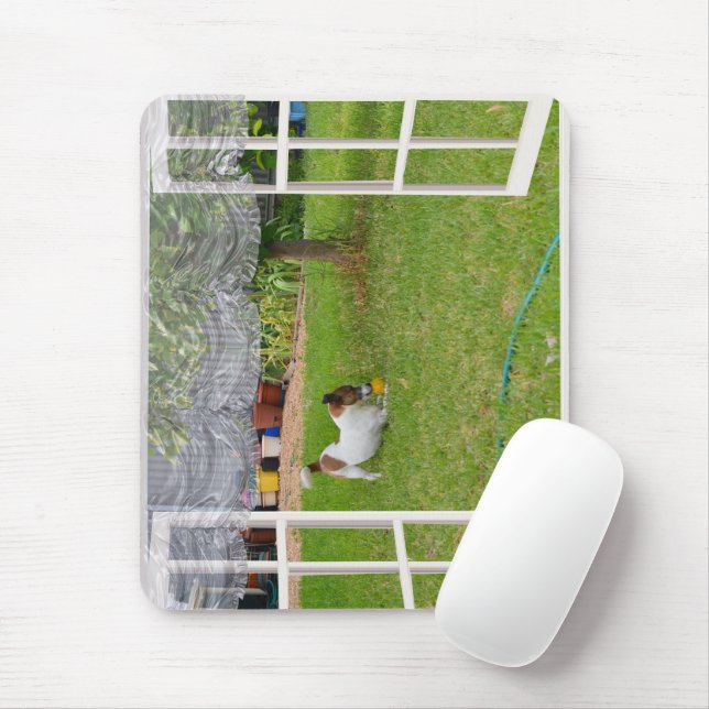 Fox Terrier Play Boll, Mousepad Musmatta (Med mus)