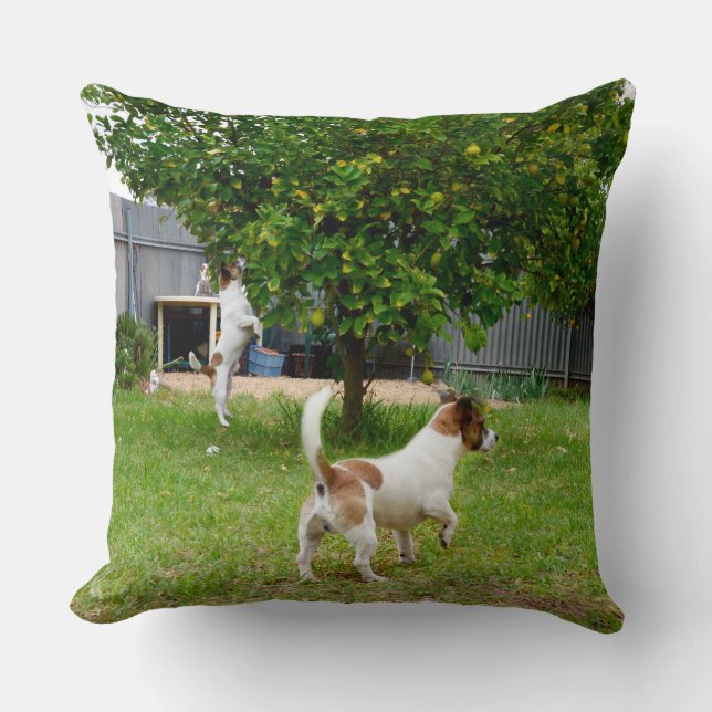 Fox Terrier Play Time Big Throw Cushion Kudde (Framsida)