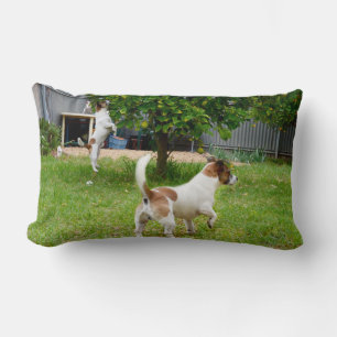 Fox Terrier Play Time Lumbar Cushion Lumbarkudde