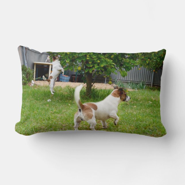 Fox Terrier Play Time Lumbar Cushion Lumbarkudde (Framsida)