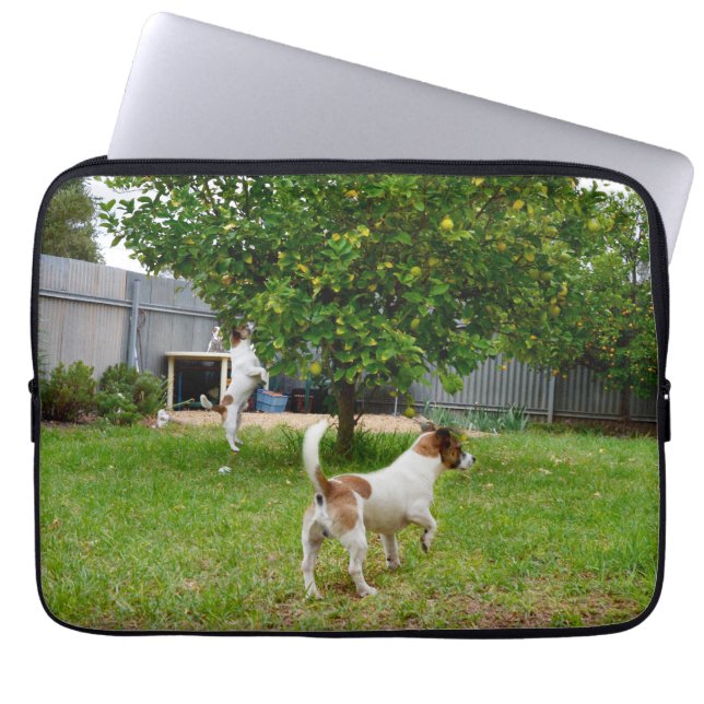 Fox Terrier Playtime, 13-tums Laptop sleeve. Fodral (Framsidan)
