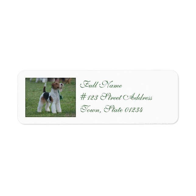 Fox Terrier Returadress Etikett (Framsidan)